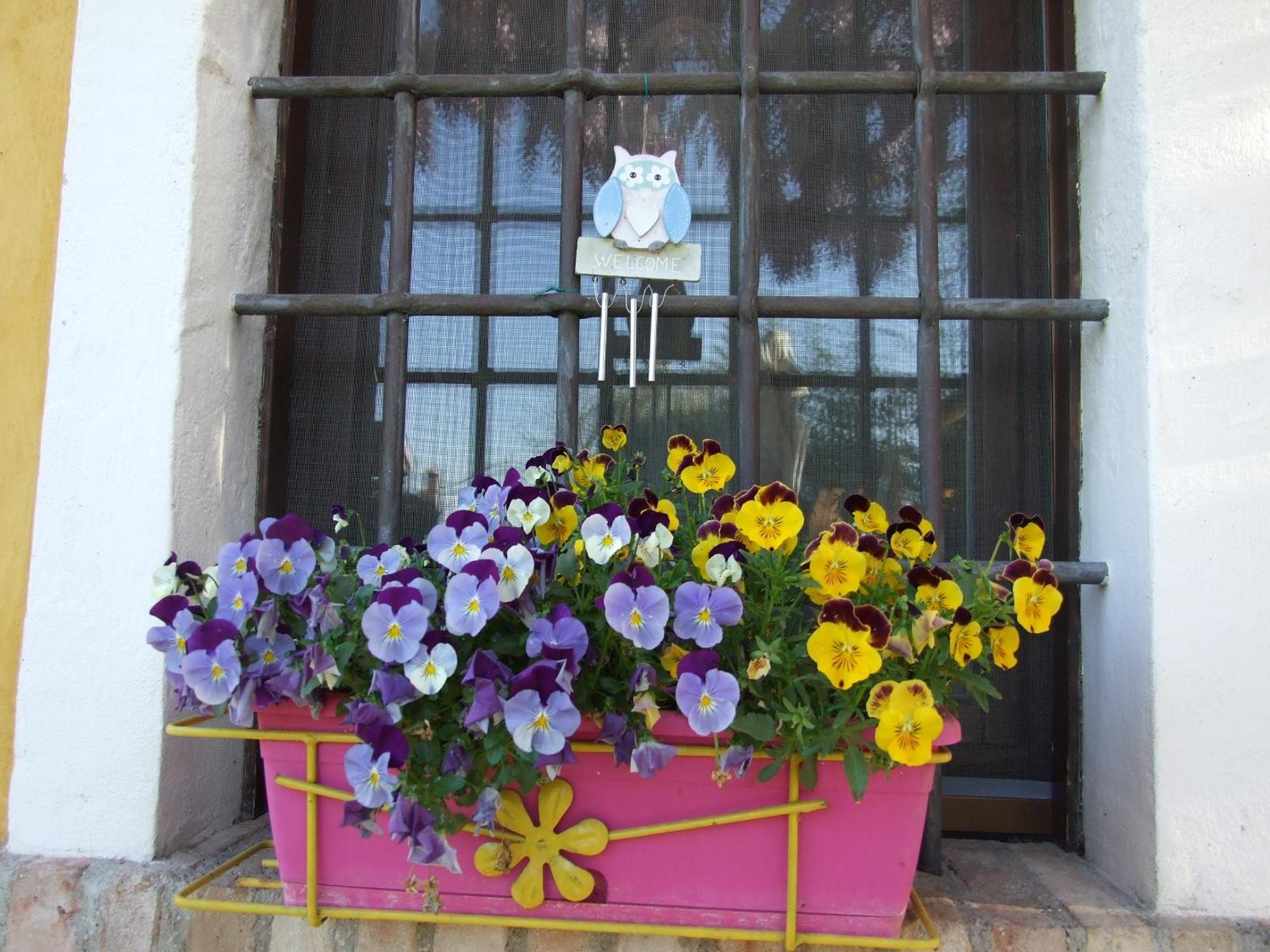 B&B Casacasina Monzambano Extérieur photo