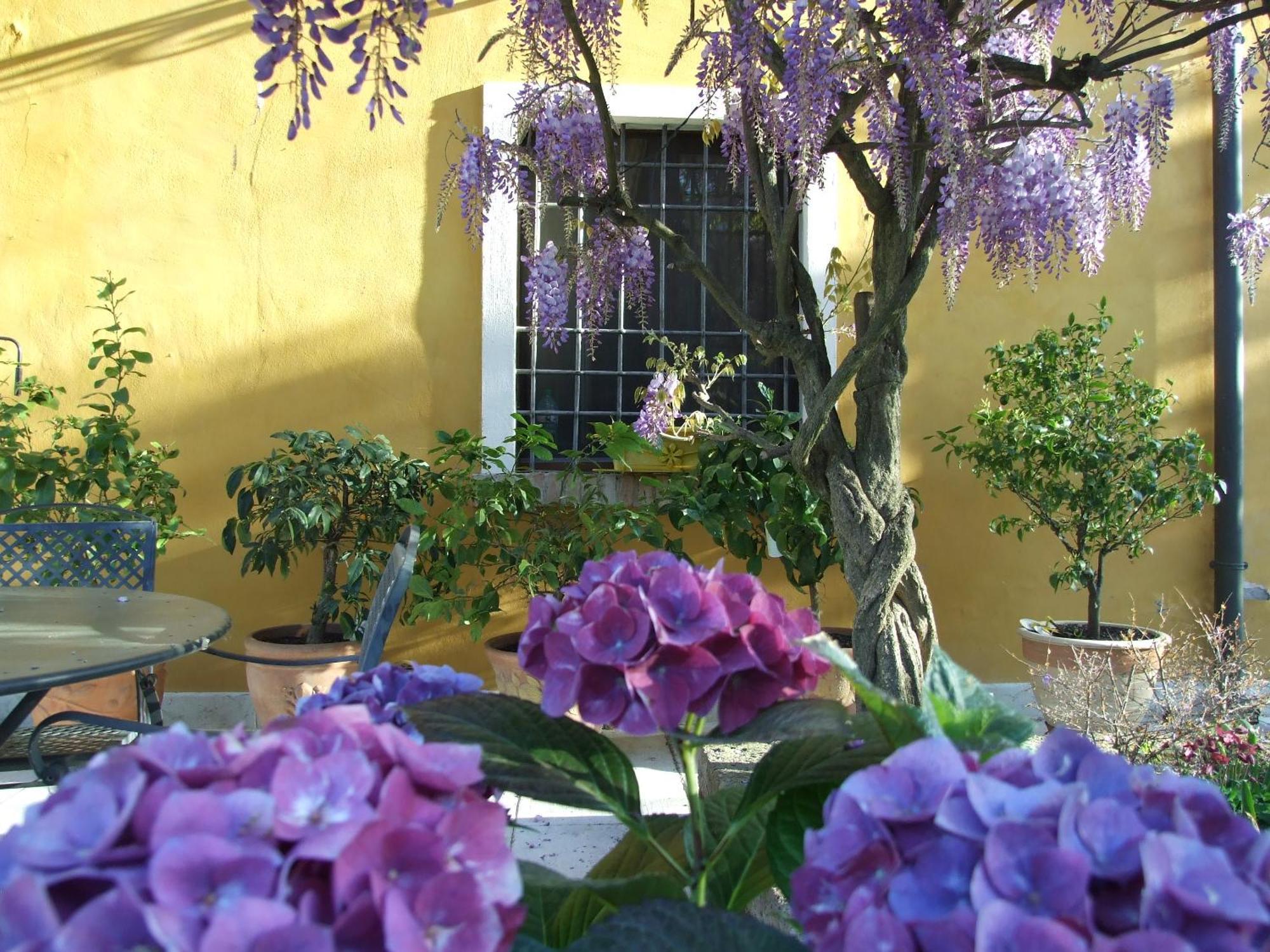 B&B Casacasina Monzambano Extérieur photo