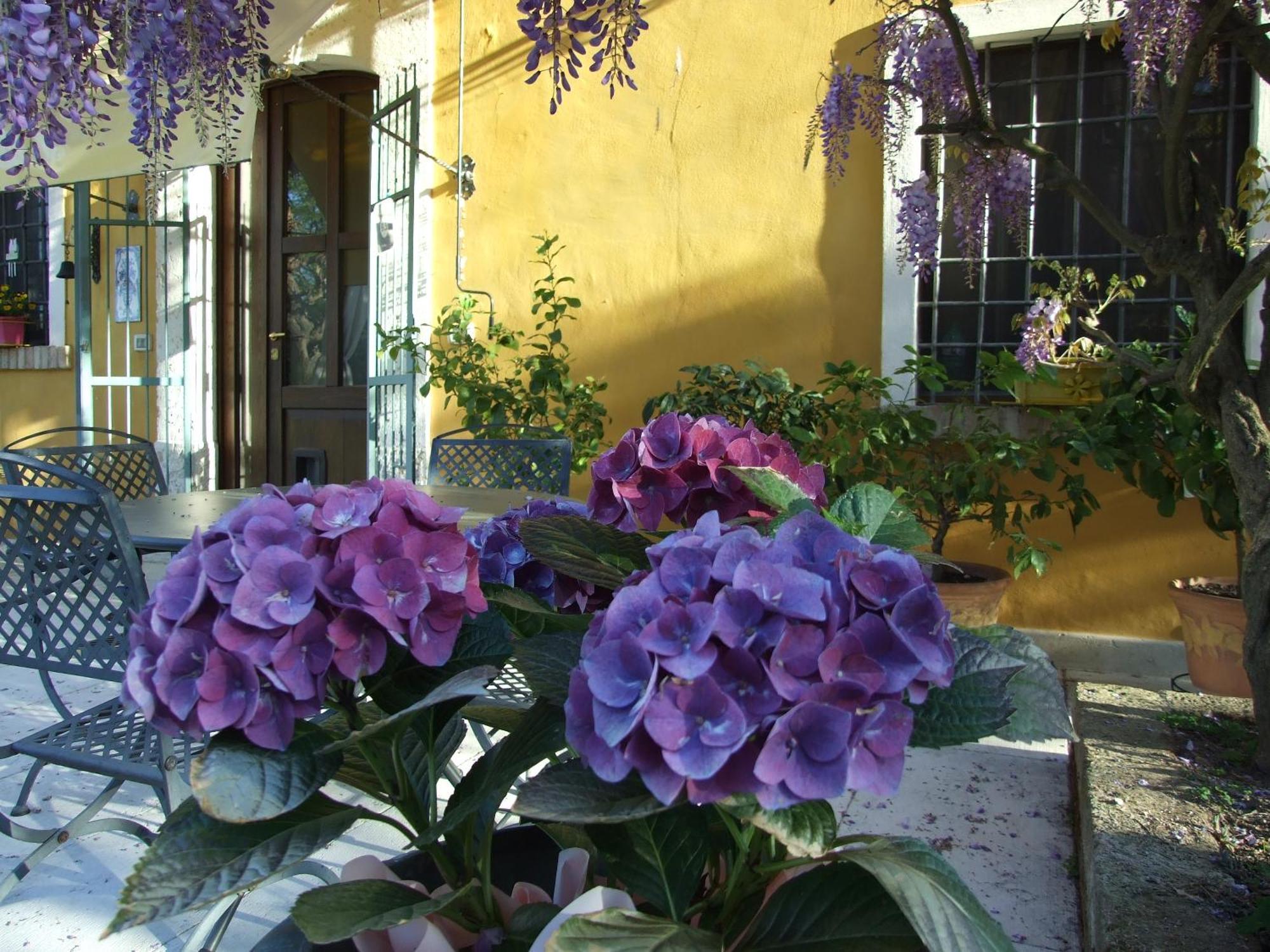 B&B Casacasina Monzambano Extérieur photo