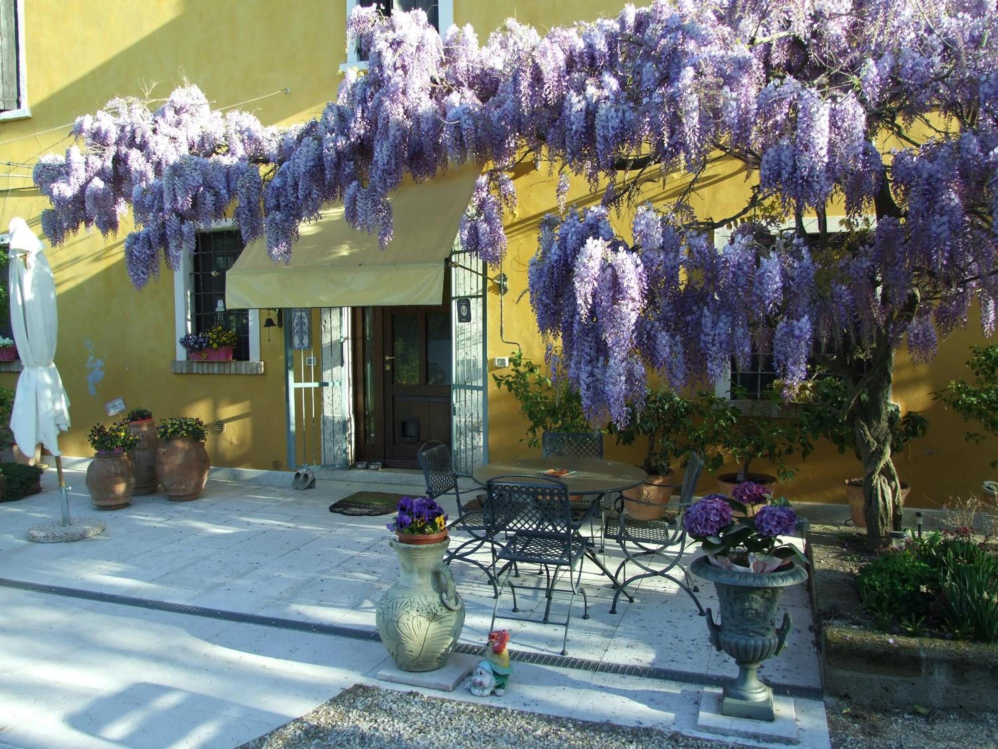B&B Casacasina Monzambano Extérieur photo