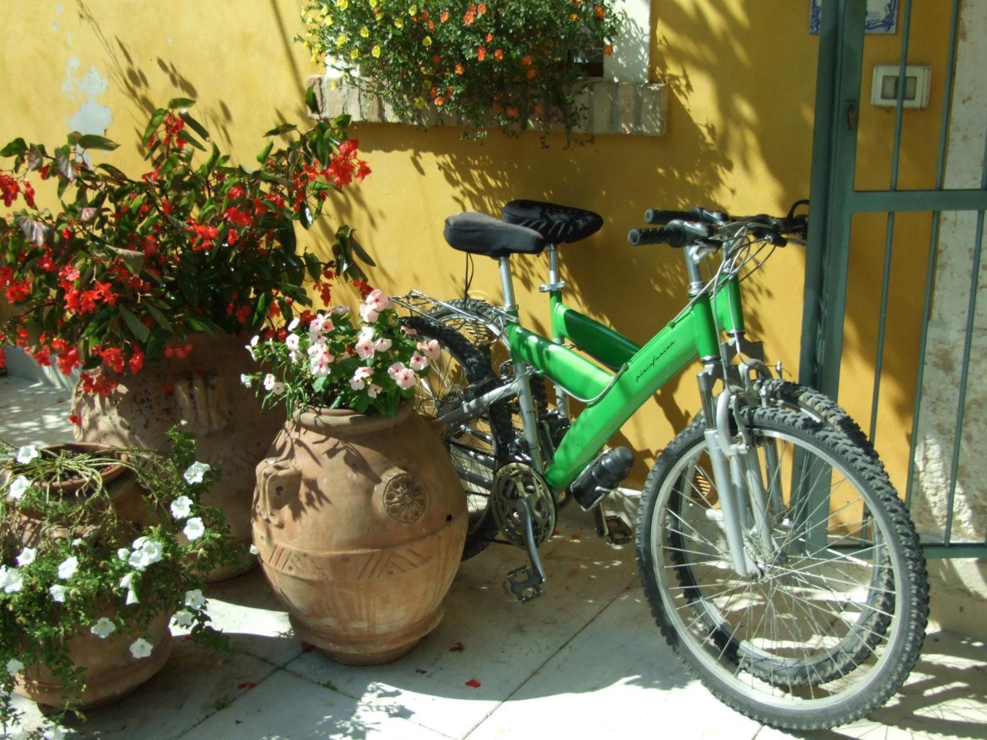 B&B Casacasina Monzambano Extérieur photo